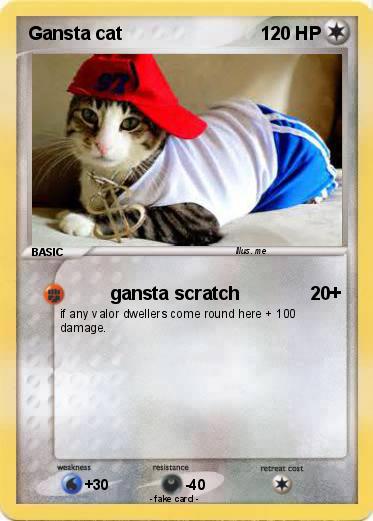Pokemon Gansta cat