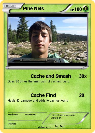 Pokemon Pine Nels