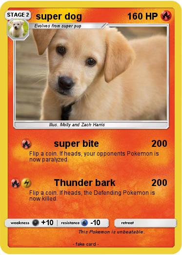 Pokemon super dog