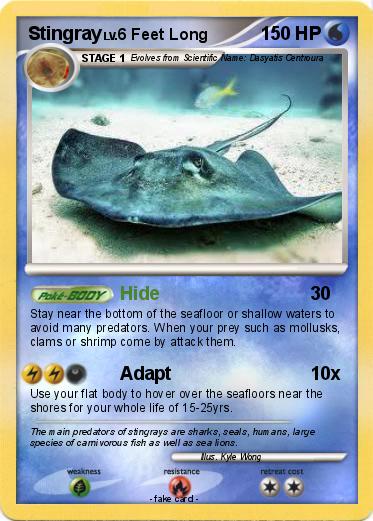 Pokemon Stingray