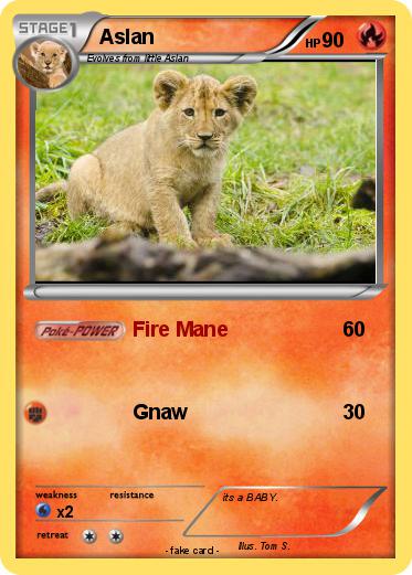 Pokemon Aslan