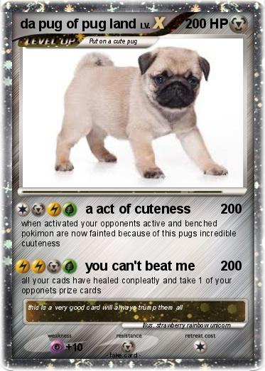 Pokemon da pug of pug land