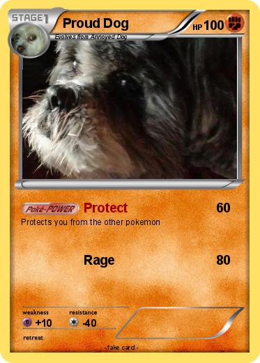 Pokemon Proud Dog