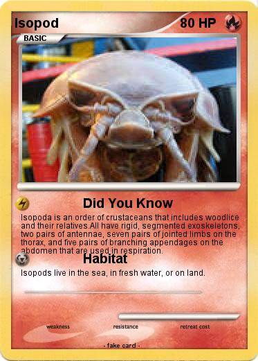 Pokemon Isopod