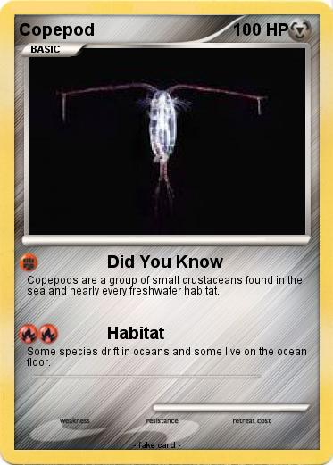 Pokemon Copepod
