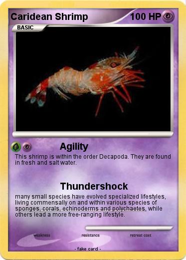 Pokemon Caridean Shrimp