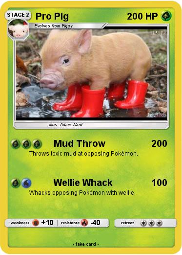 Pokemon Pro Pig