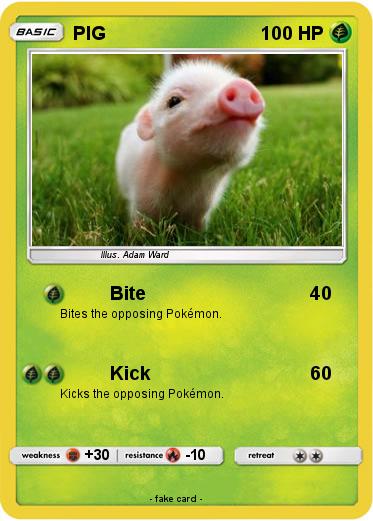 Pokemon PIG