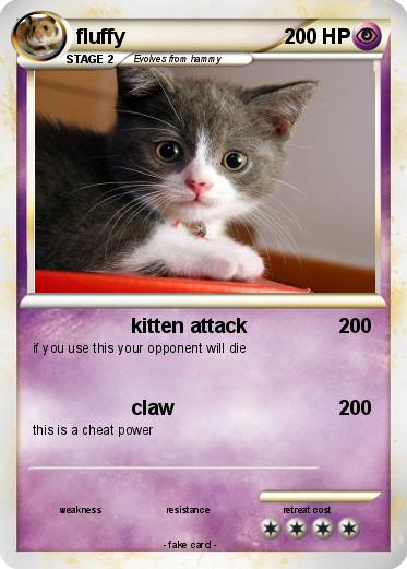 Pokemon fluffy