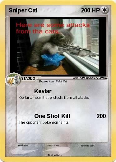 Pokemon Sniper Cat