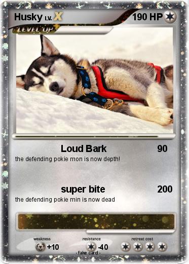 Pokemon Husky