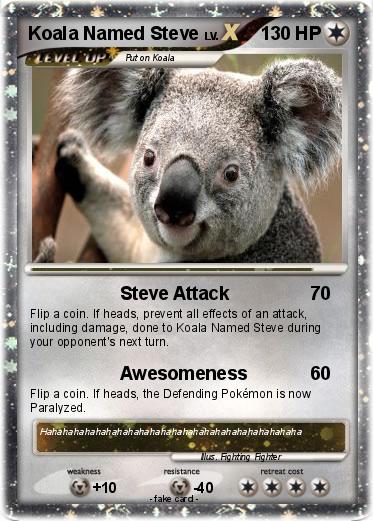 Pokemon Koala Named Steve
