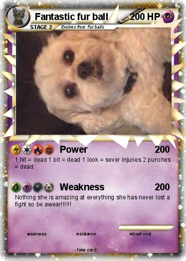Pokemon Fantastic fur ball