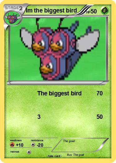 Pokemon Im the biggest bird
