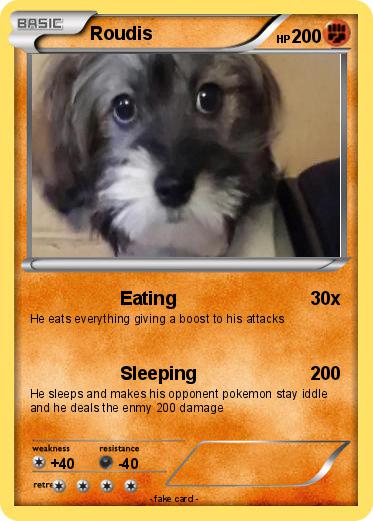 Pokemon Roudis