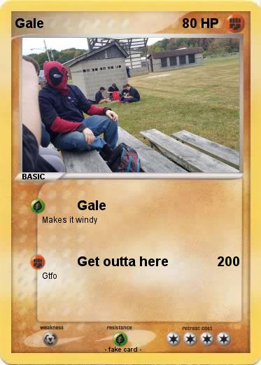 Pokemon Gale