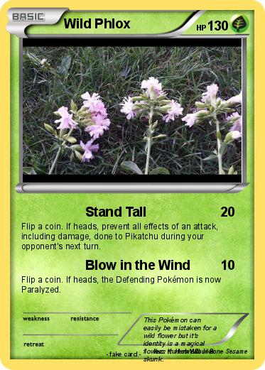 Pokemon Wild Phlox