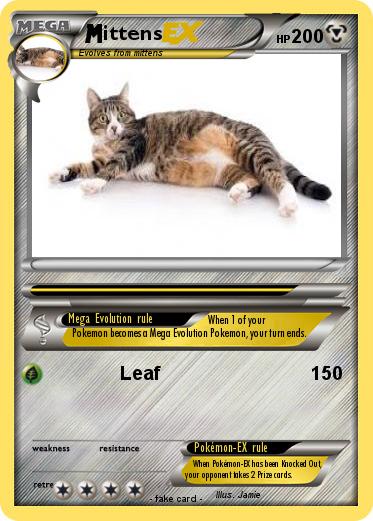 Pokemon ittens