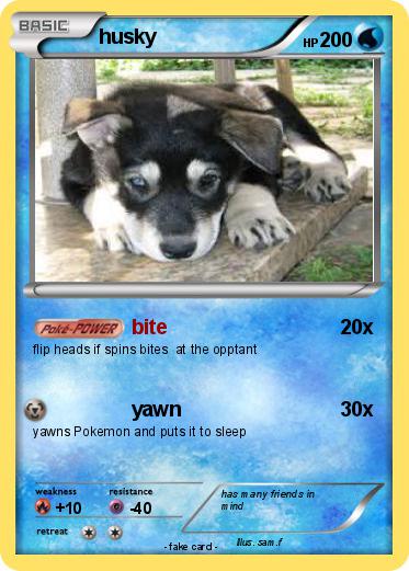 Pokemon husky