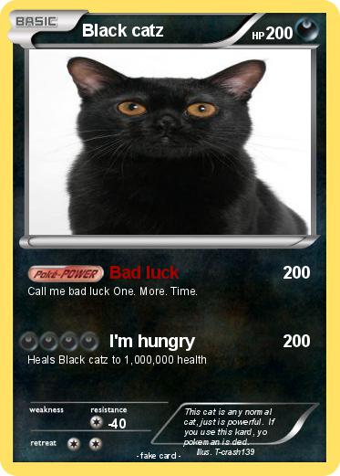 Pokemon Black catz