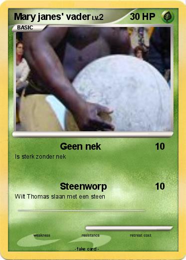 Pokemon Mary janes' vader