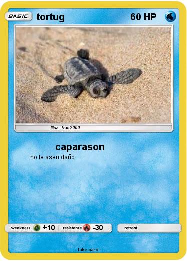 Pokemon tortug