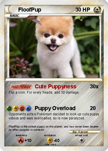 Pokemon FloofPup