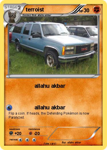 Pokemon terroist