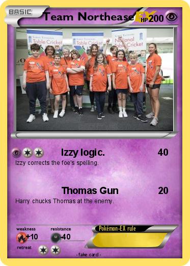 Pokemon Team Northease