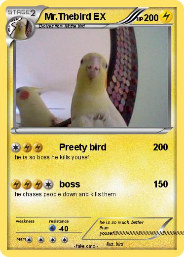 Pokemon Mr.Thebird EX
