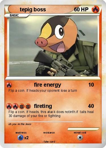 Pokemon tepig boss