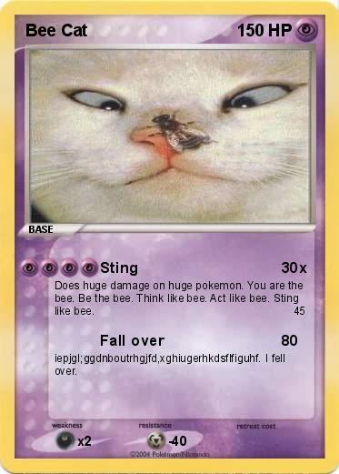 Pokemon Bee Cat