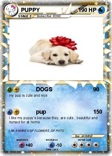 Pokemon PUPPY Pokemon PUPPY