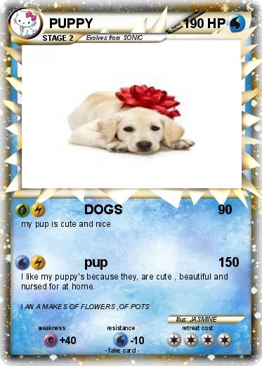 Pokemon PUPPY