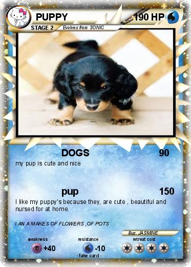 Pokemon PUPPY