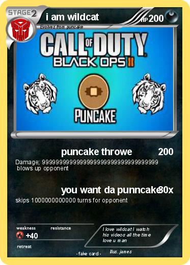 Pokemon i am wildcat