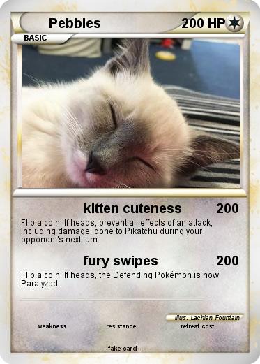 Pokemon Pebbles
