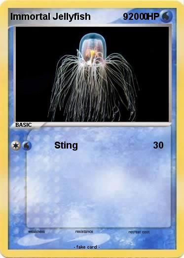 Pokemon Immortal Jellyfish             9      0