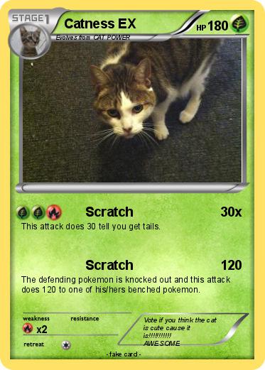 Pokemon Catness EX