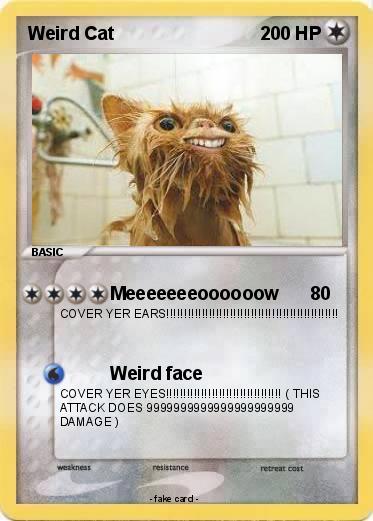 Pokemon Weird Cat
