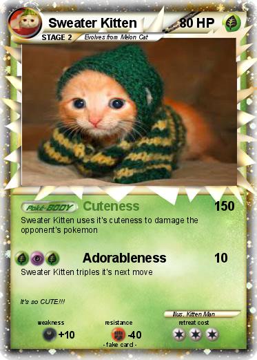 Pokemon Sweater Kitten