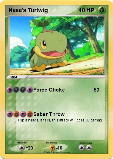 Pokemon Nasa's Turtwig 