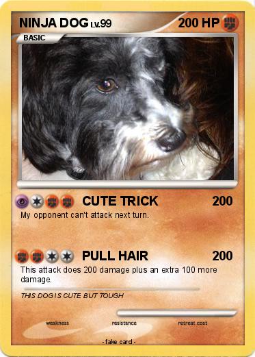 Pokemon NINJA DOG