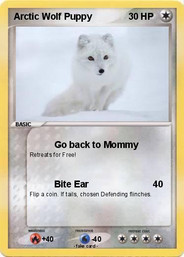 Pokemon Arctic Wolf Puppy