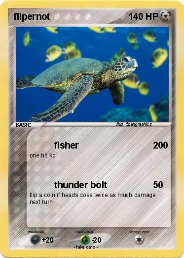 Pokemon flipernot