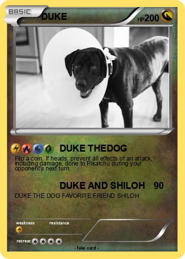 Pokemon DUKE