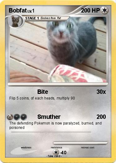 Pokemon Bobfat