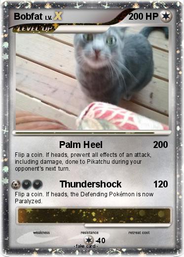 Pokemon Bobfat
