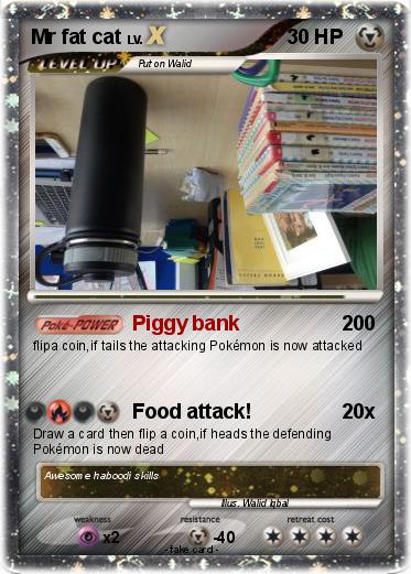 Pokemon Mr fat cat
