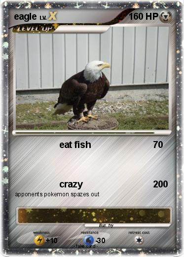 Pokemon eagle